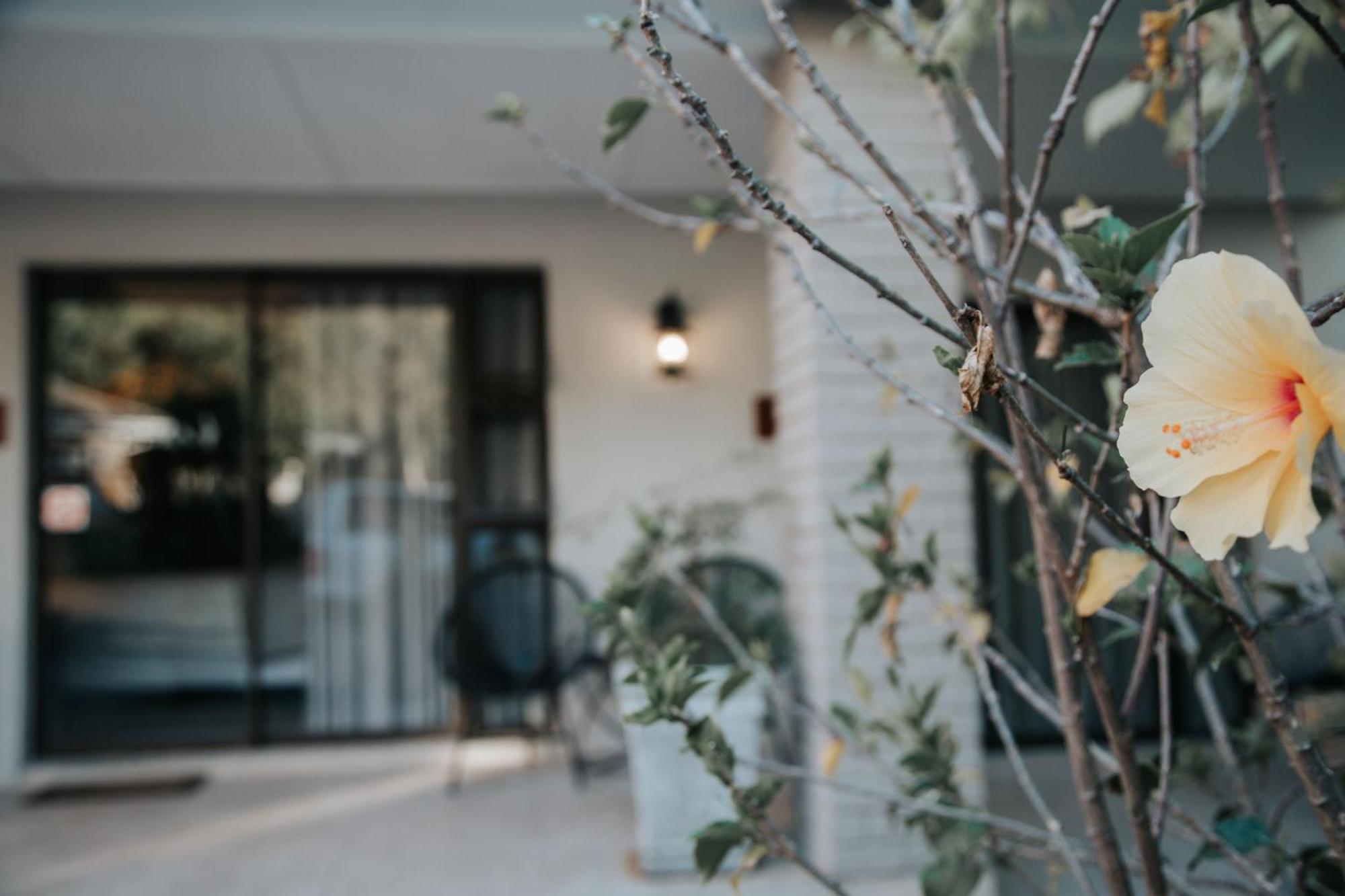 The Symphony Guest House クイーンズタウン エクステリア 写真